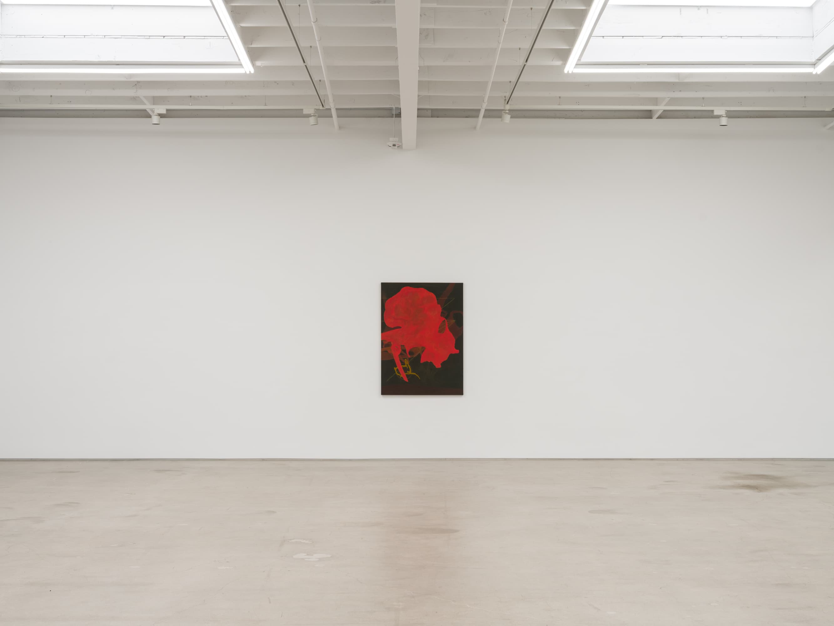 Installation view 3 of 10