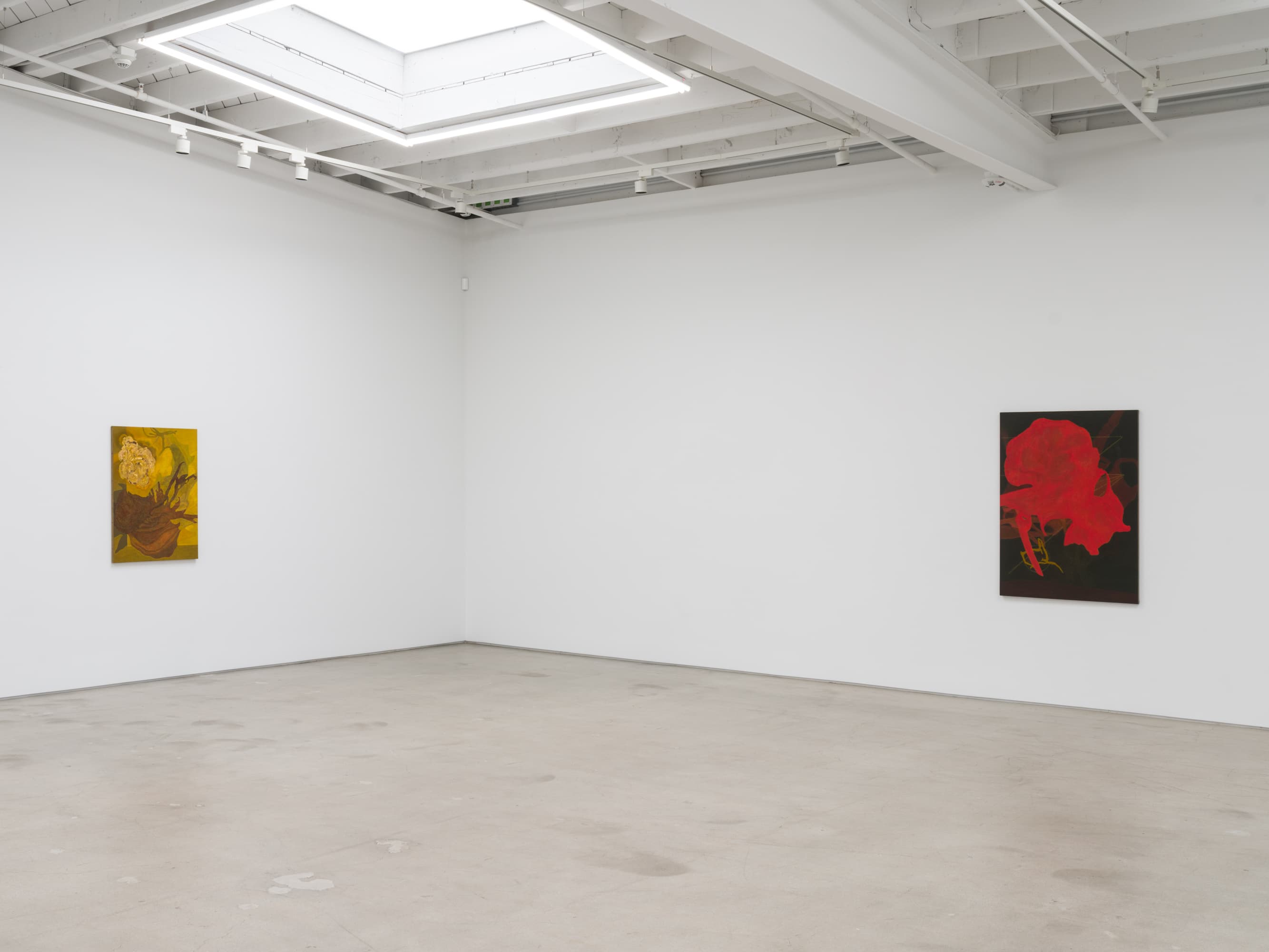 Installation view 4 of 10