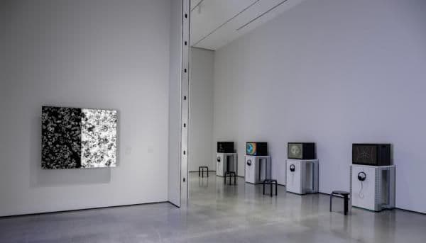Digital Witness: Revolutions in Design, Photography, and Film