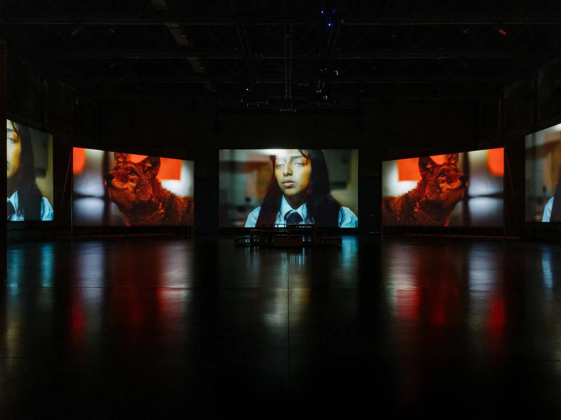 Doug Aitken: Lightscape