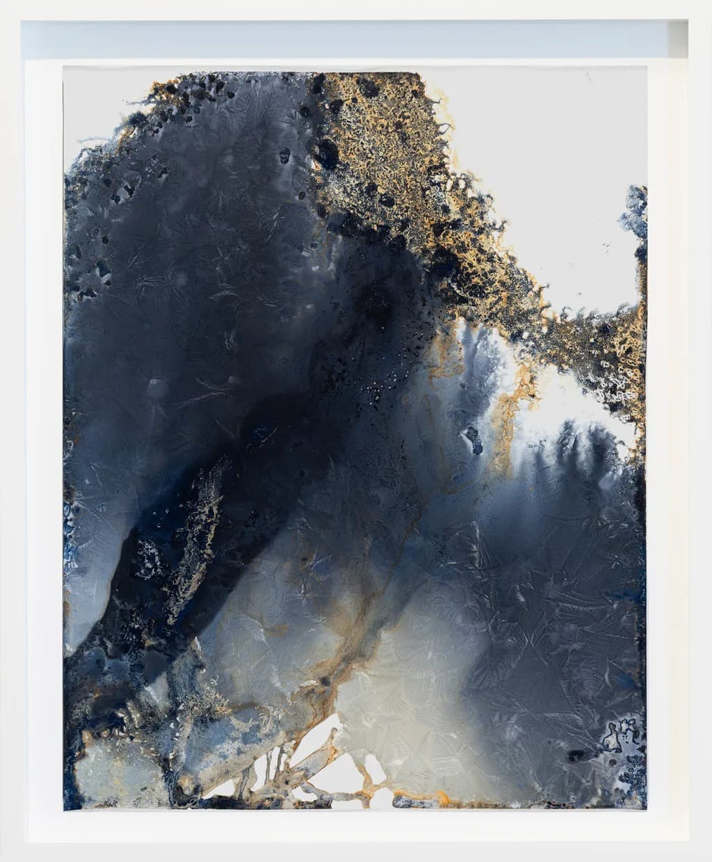 Once the Ocean Floor