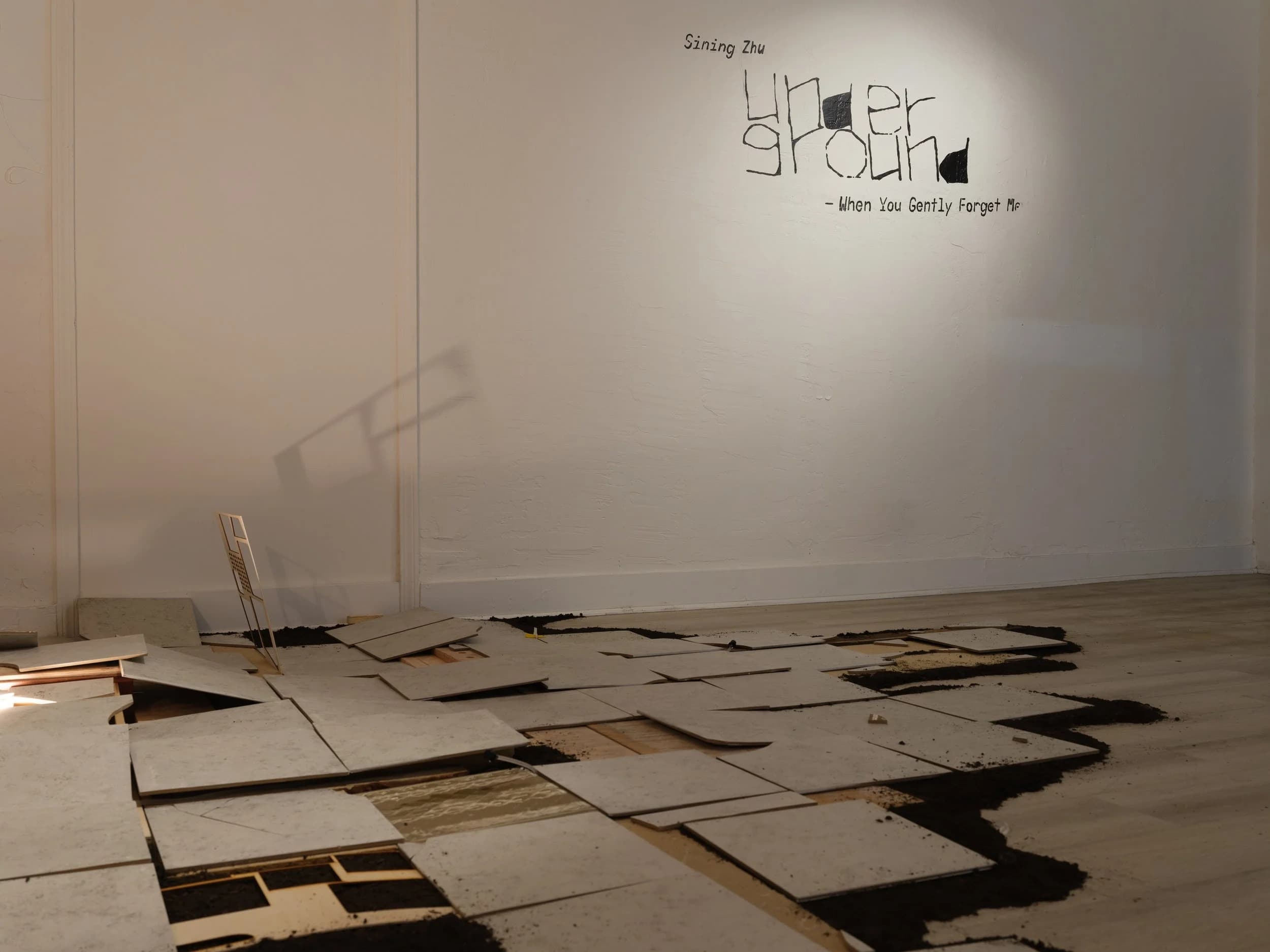 Installation view 4 of 6