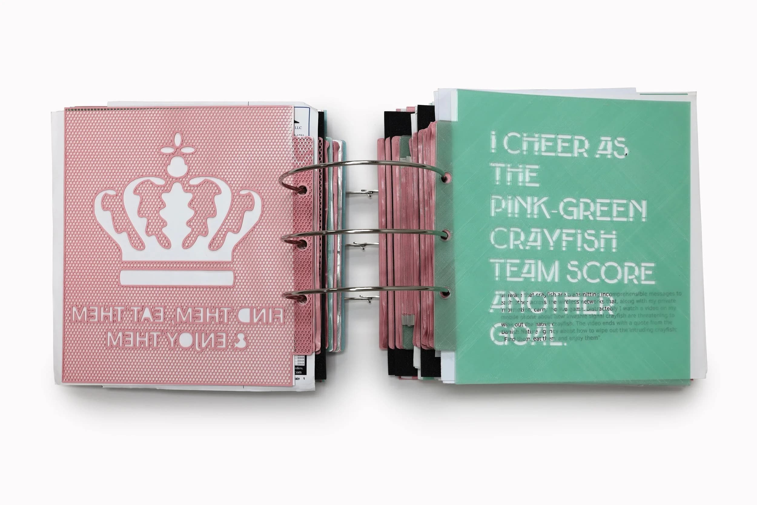 Futurity Library: Disobedient Artists' Books in the Postbook Age