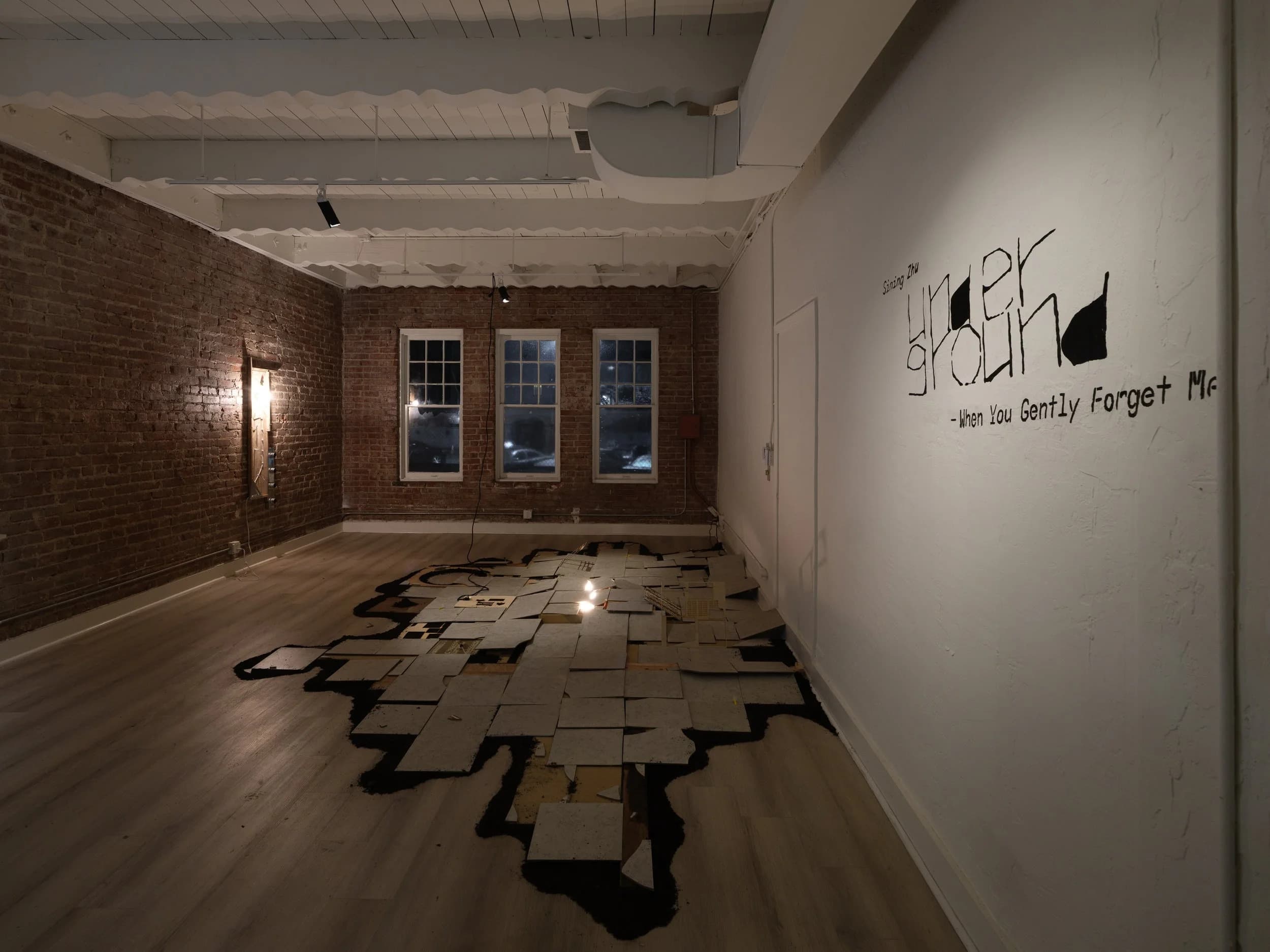 Installation view 5 of 6