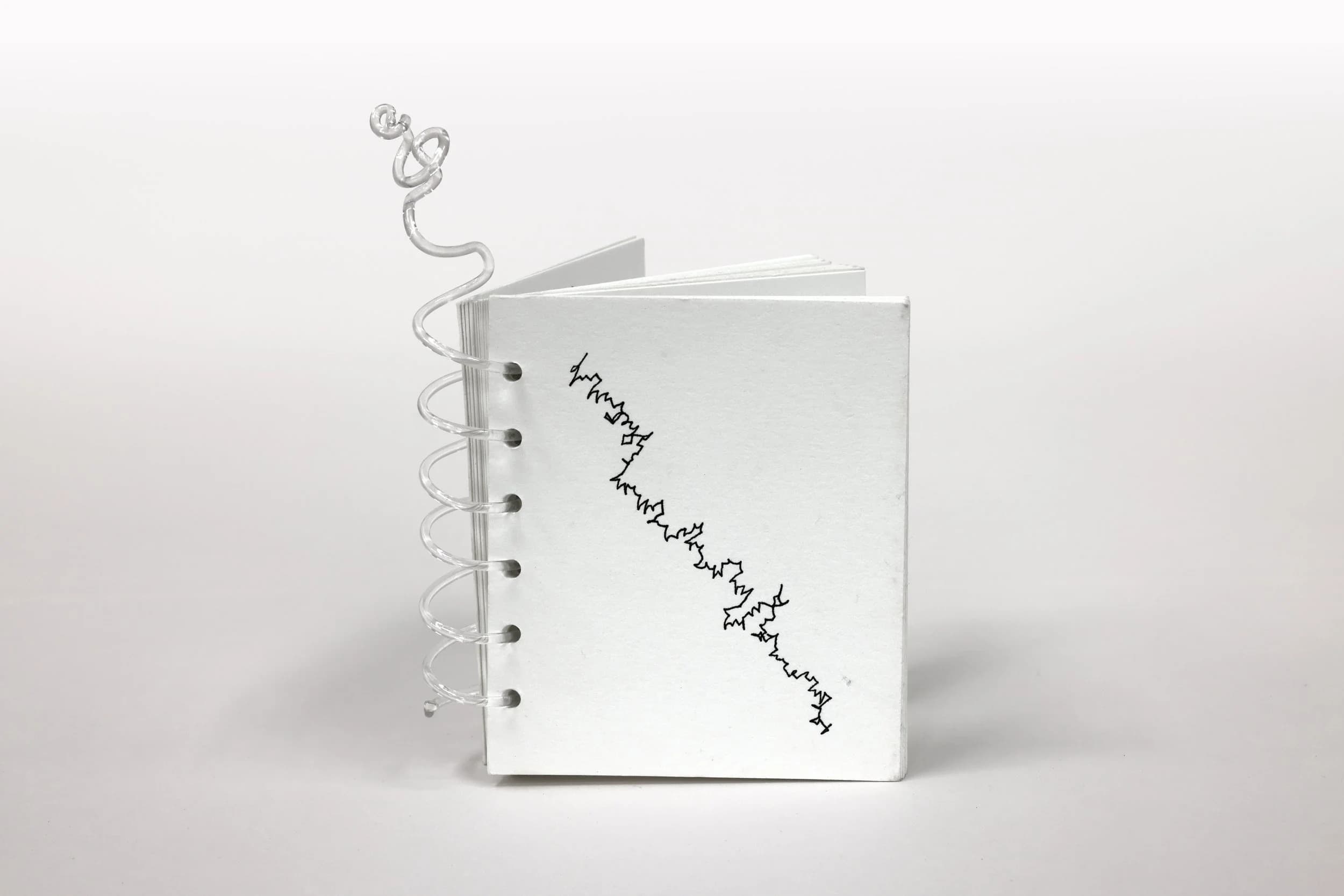 Futurity Library: Disobedient Artists' Books in the Postbook Age