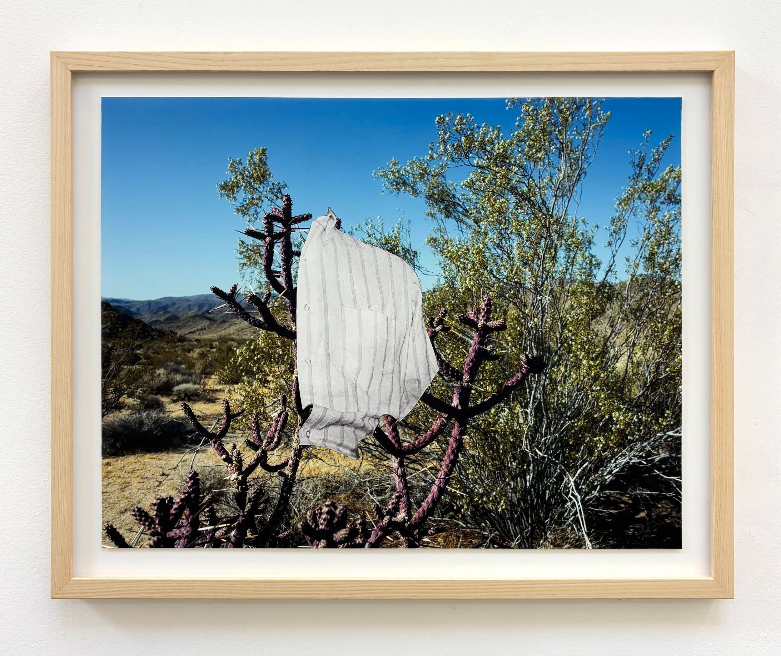 The Treasure of the Sierra Madre
