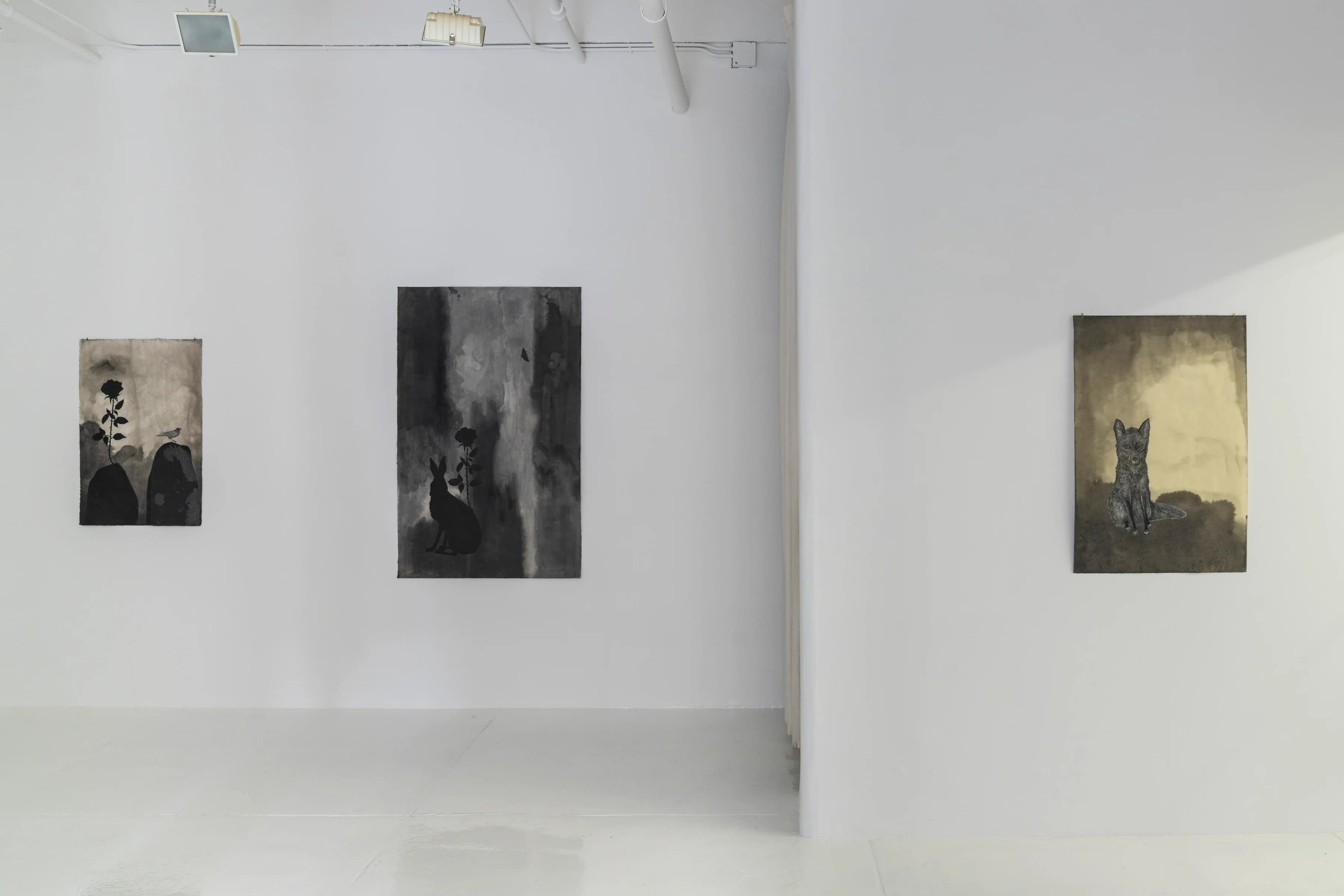 Installation view 3 of 9