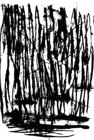 The New England Drawings, 2001-2008