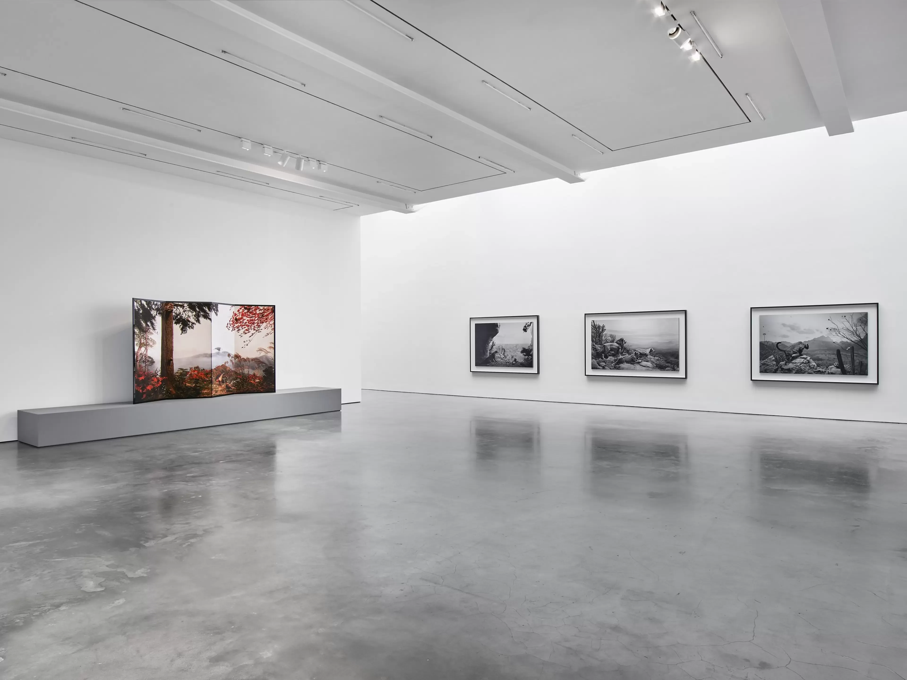 Installation view 3 of 5