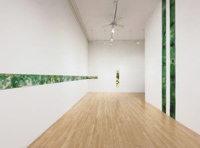 Ryan Foerster: Going Green