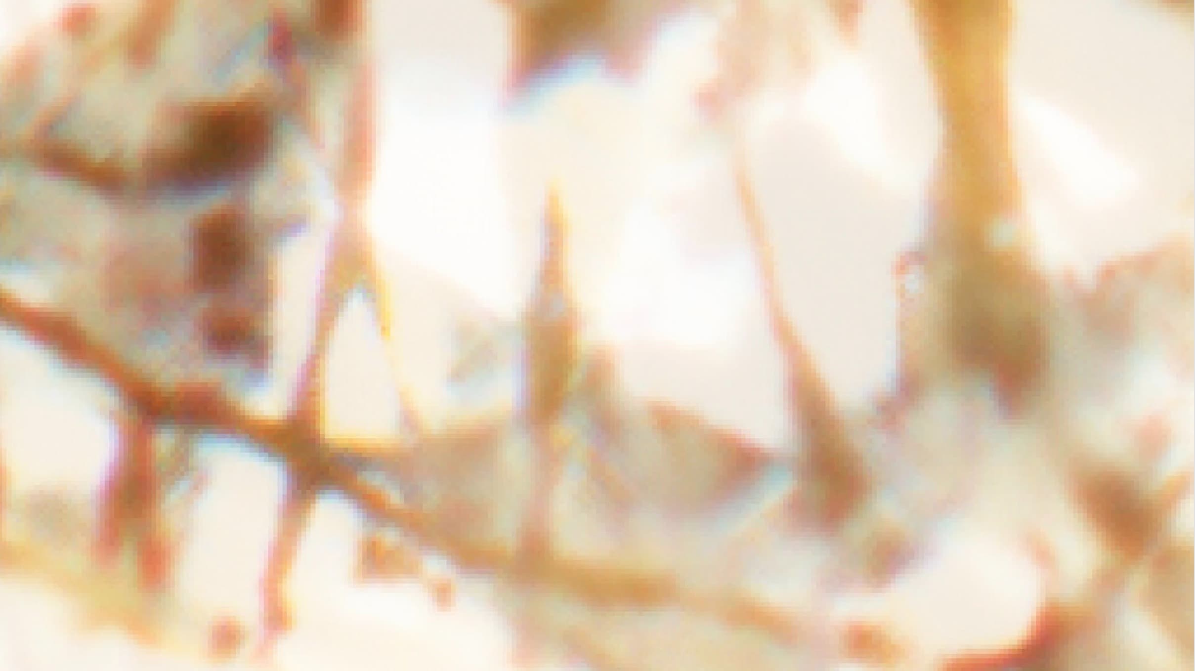 Continuum