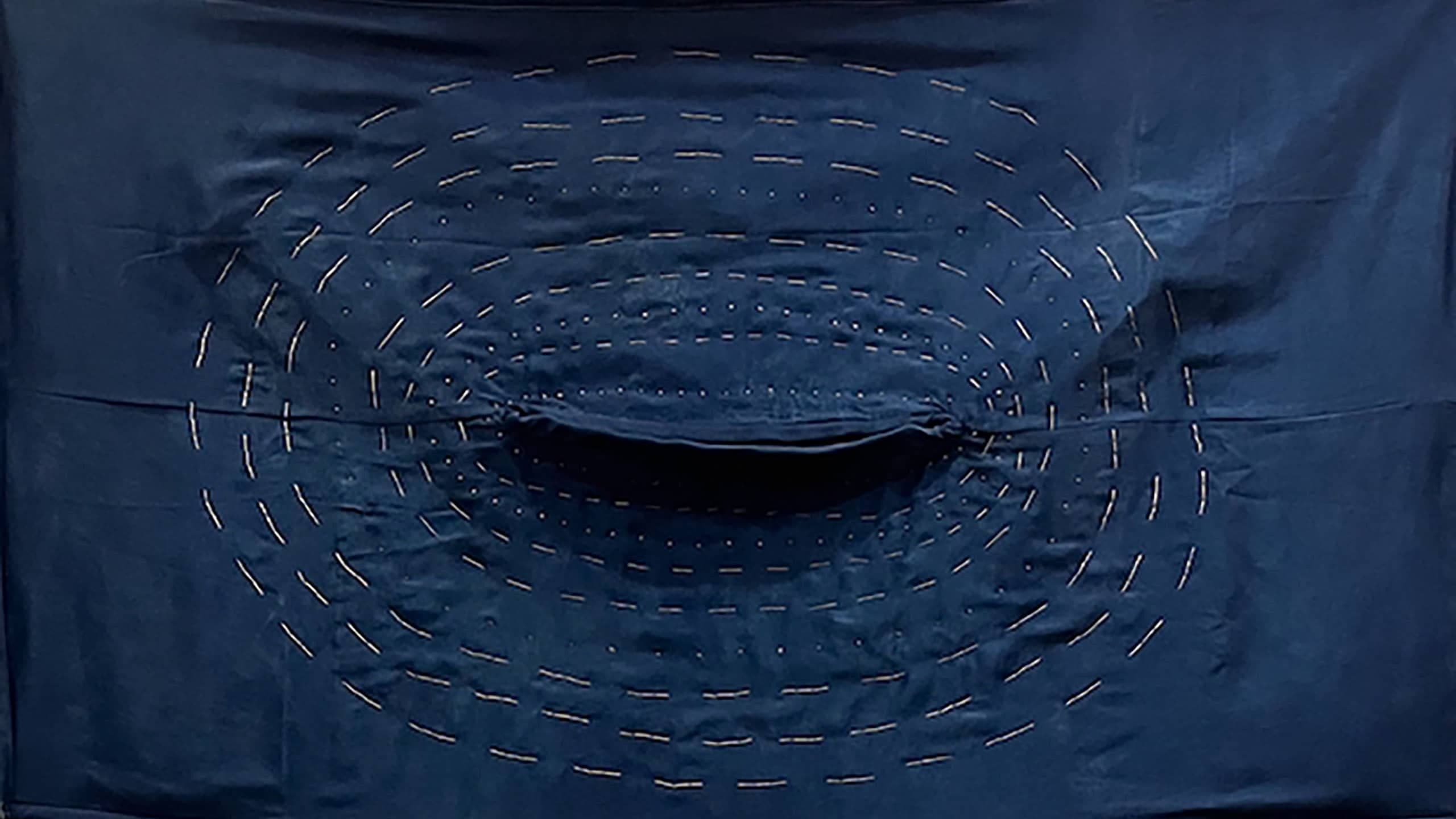 Joy Curtis: Horns, Holes, Skins, and Branches