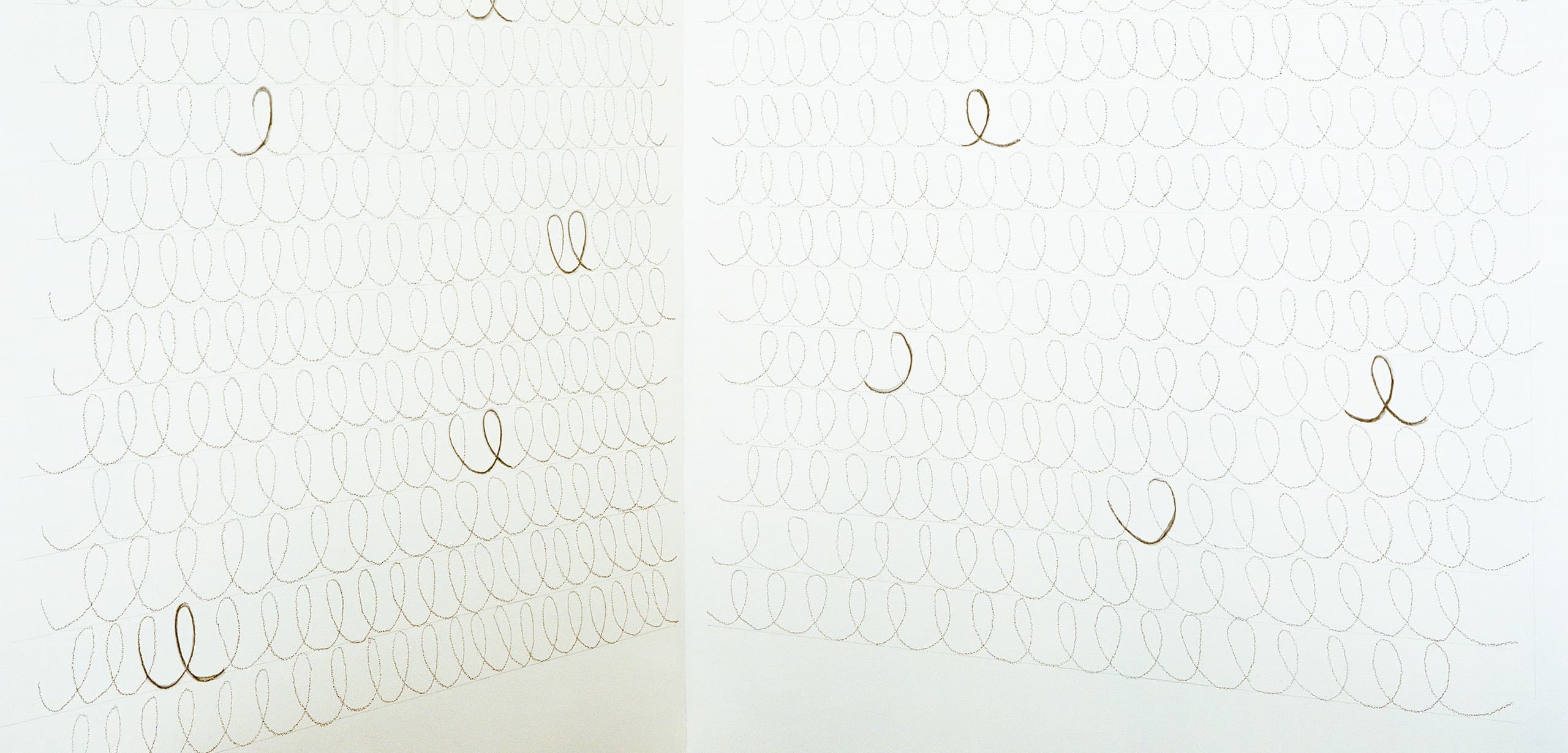 A Shell of the Sea of the Past