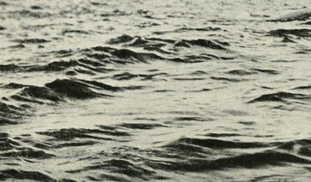 Poetry &: dream for you / an experiment with aracelis girmay and collaborators