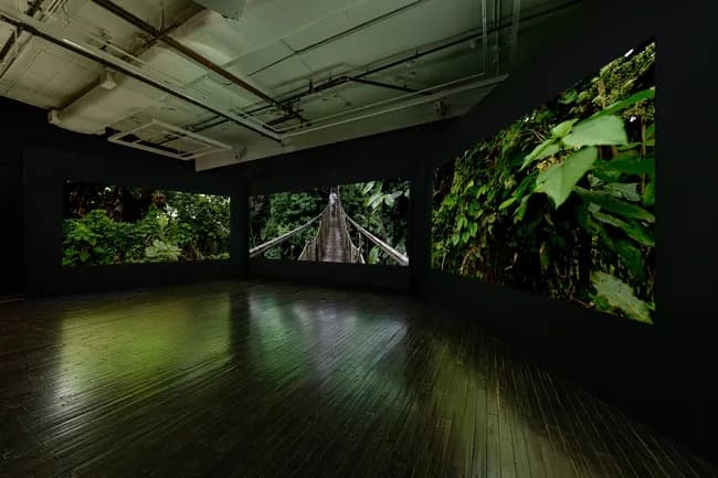 Installation view 3 of 5