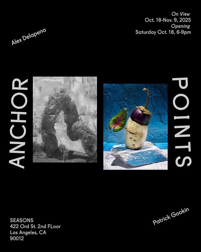 Anchor Points