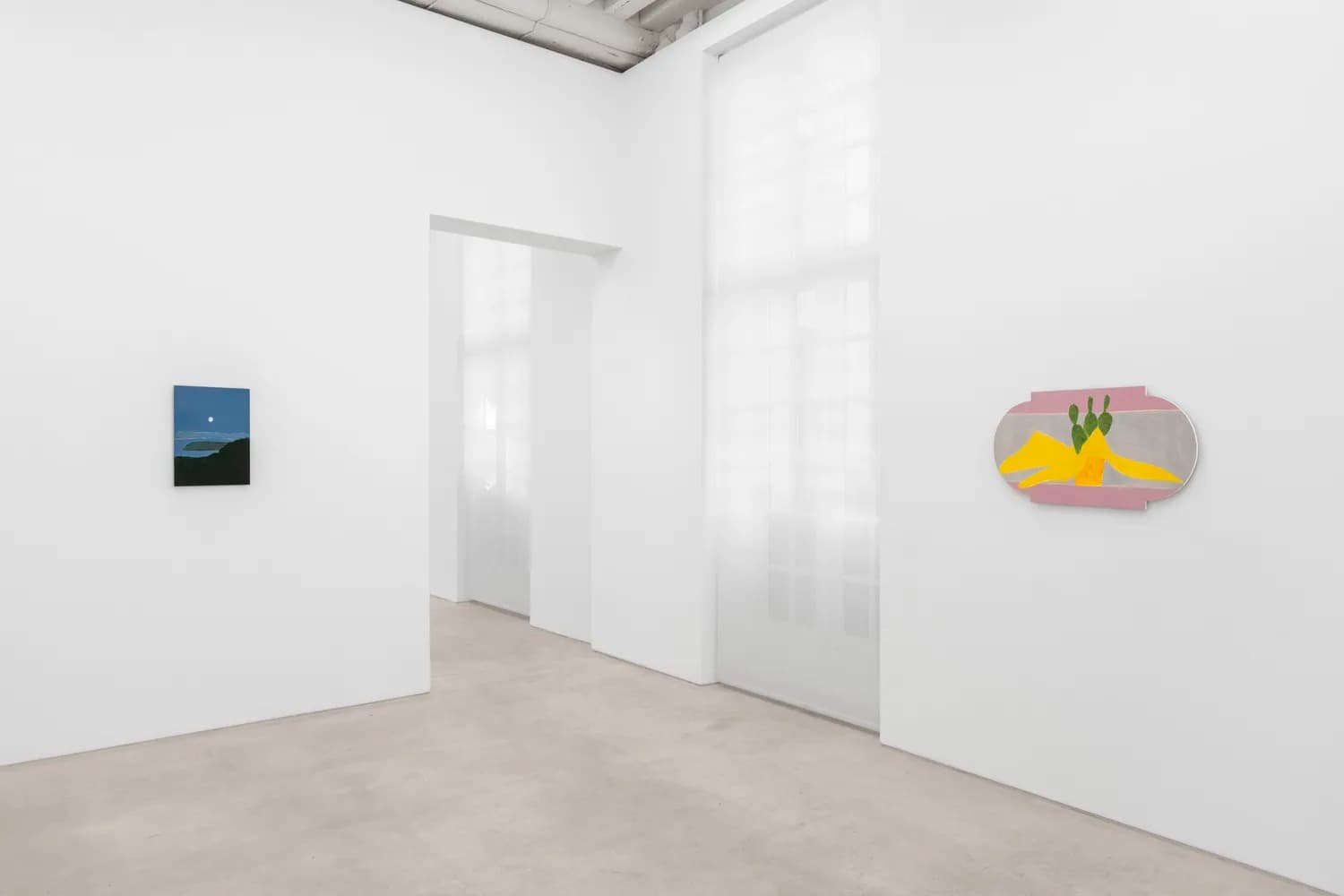 Installation view 3 of 5