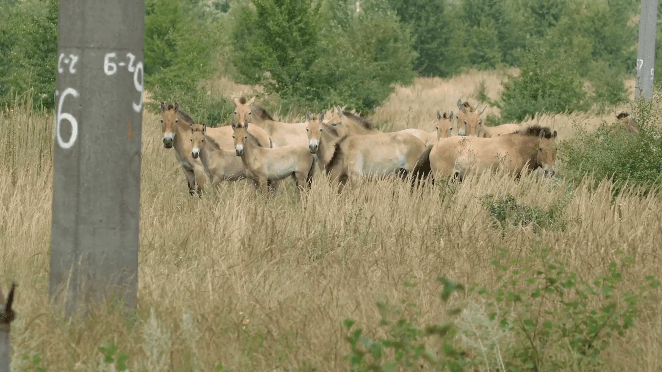 Garage Exchange: Untitled Energy