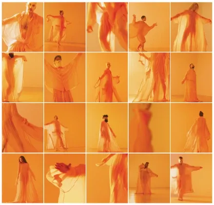 First Skin / Second Skin