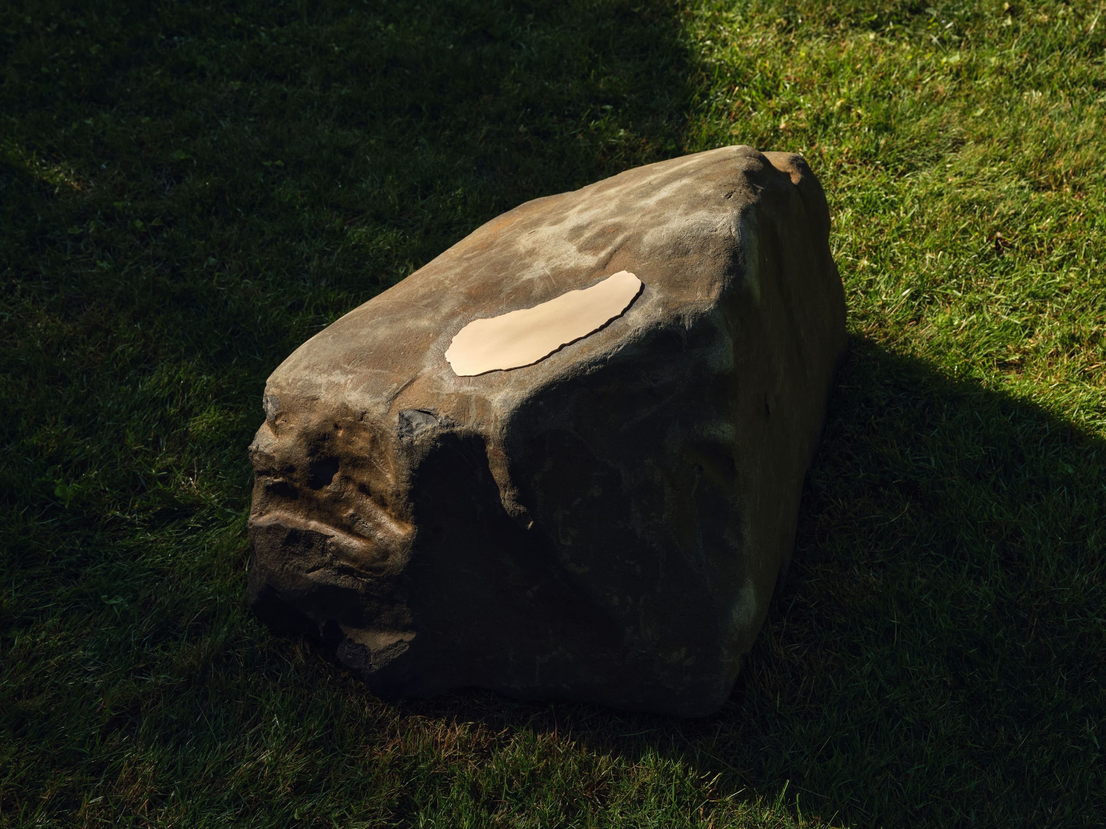 Leslie Hewitt: Soft Tremulous Light