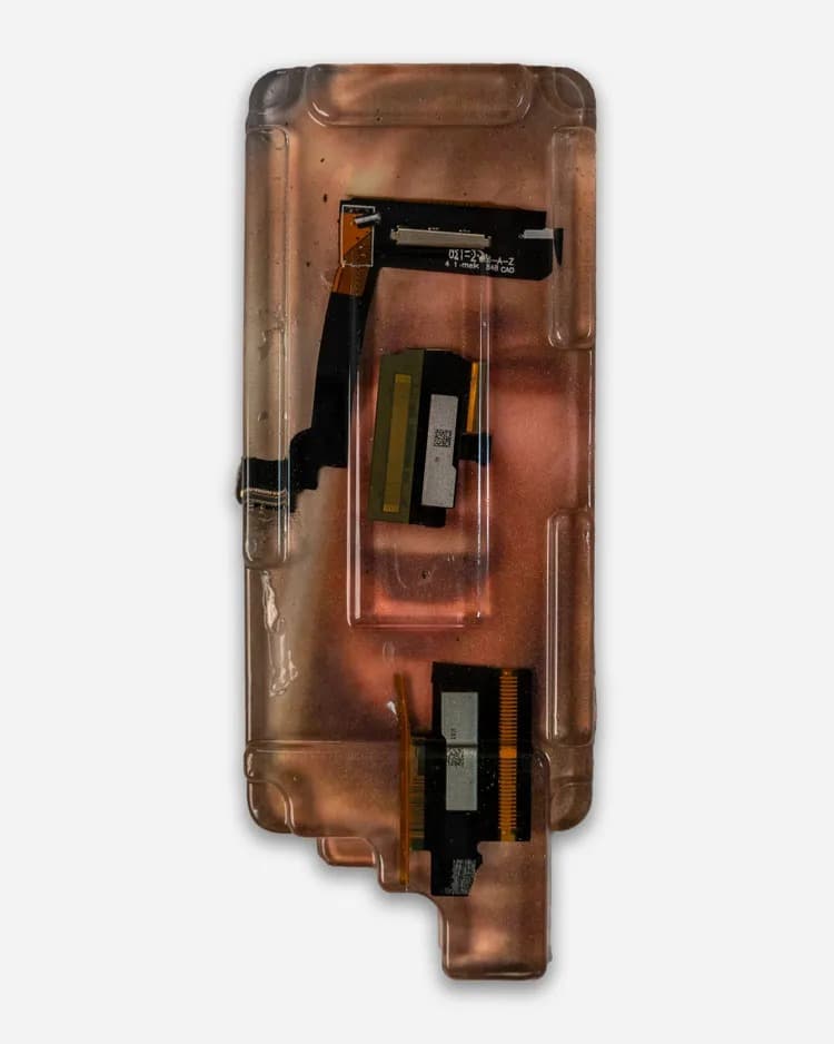 Jedediah Caesar, Kahlil Robert Irving, Maddie Butler