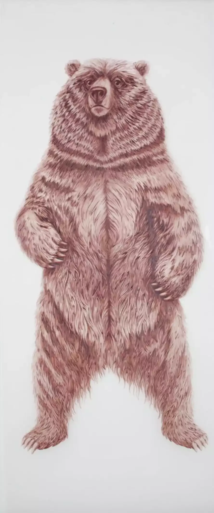 A Boat Made of Dreams