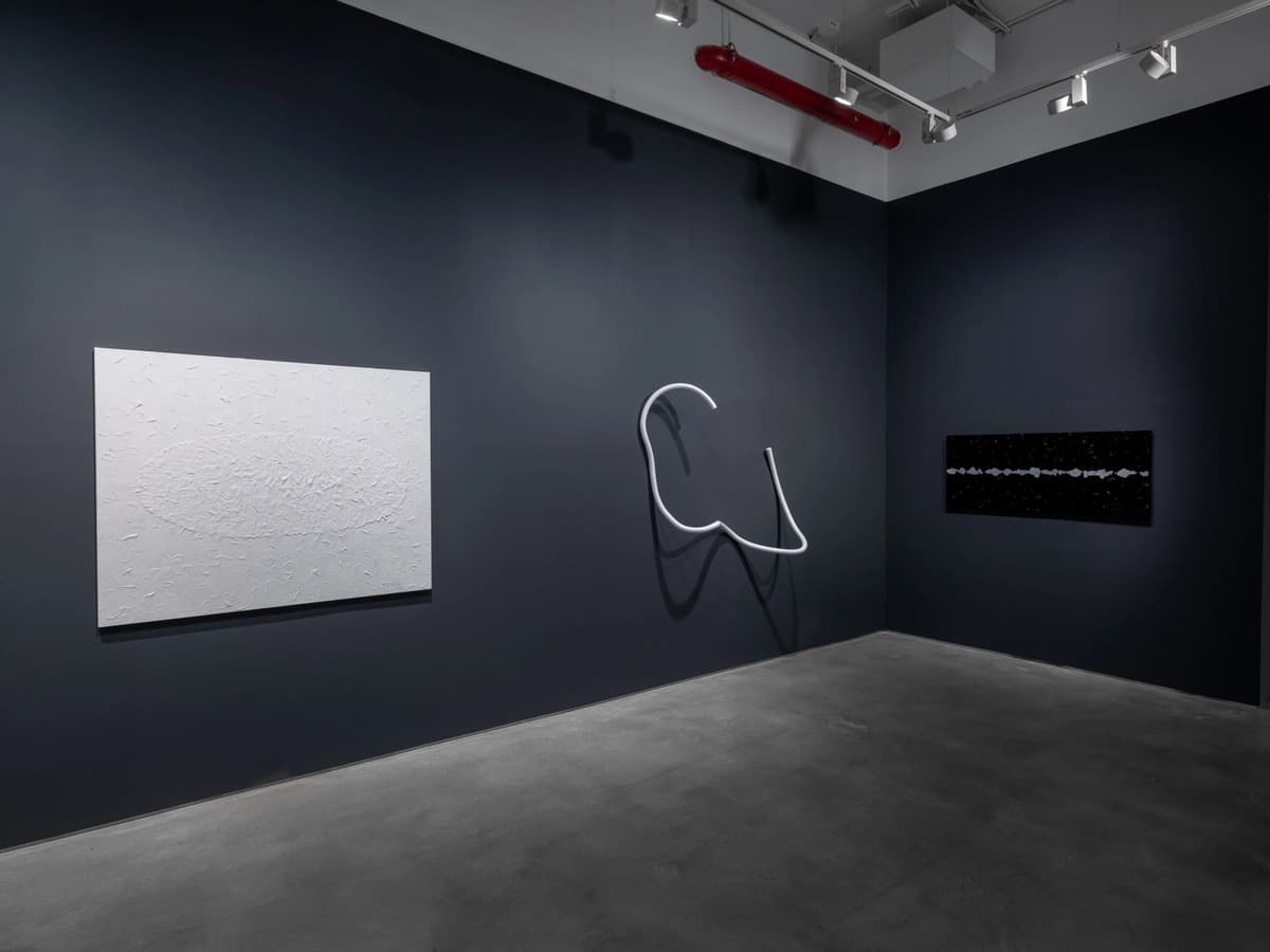 Installation view 1 of 5