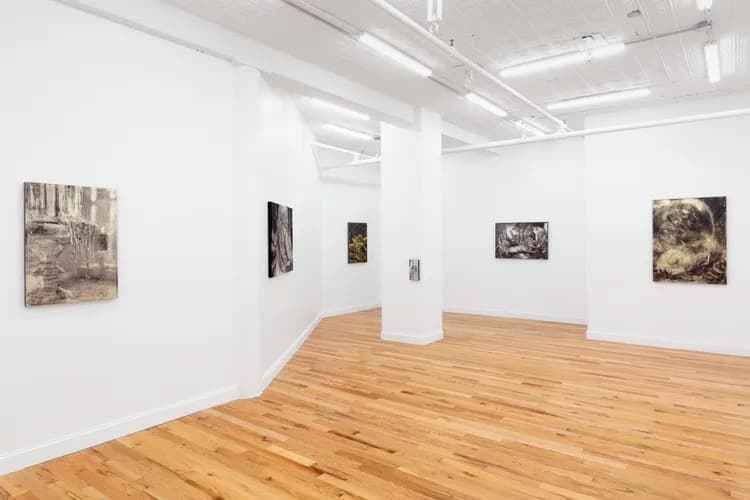 Installation view 3 of 5