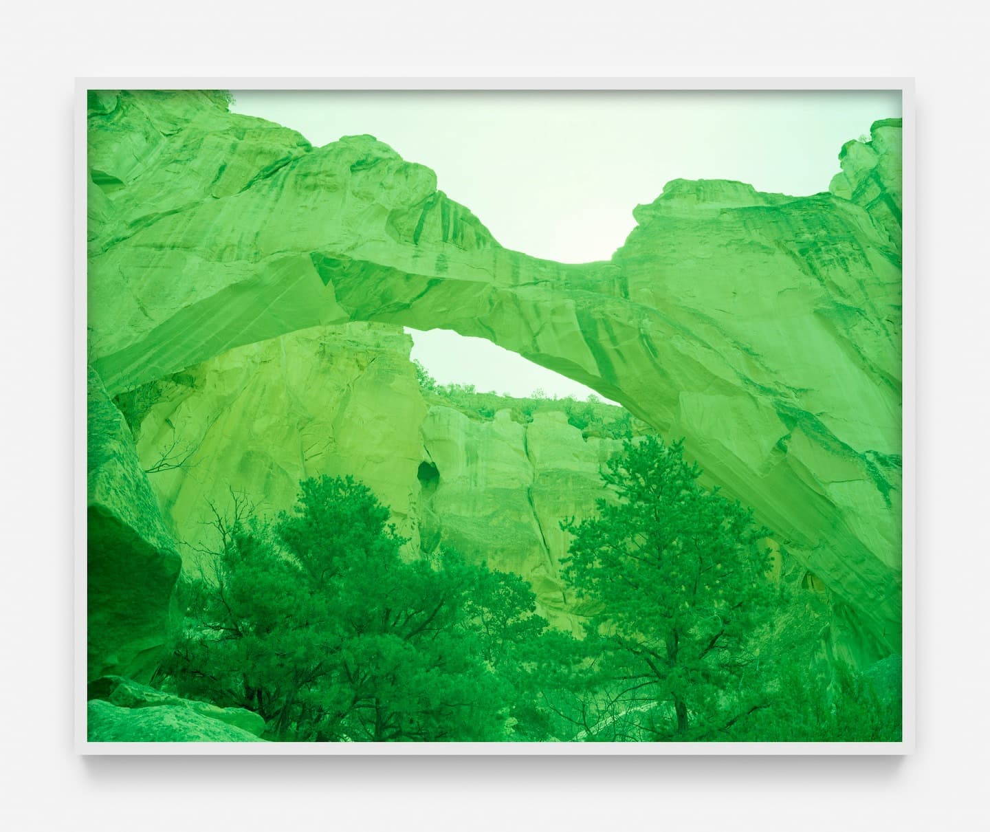 David Benjamin Sherry