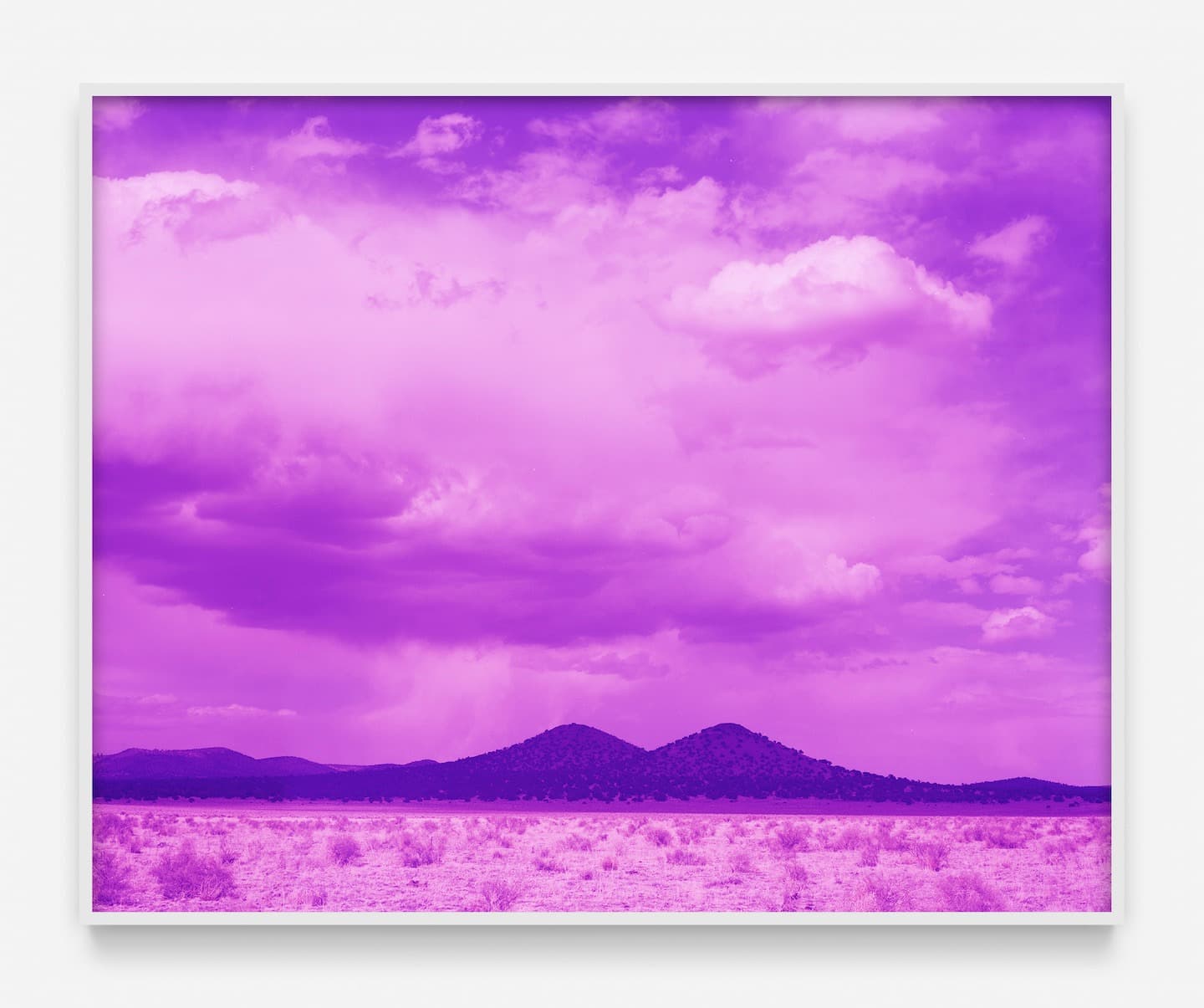 David Benjamin Sherry