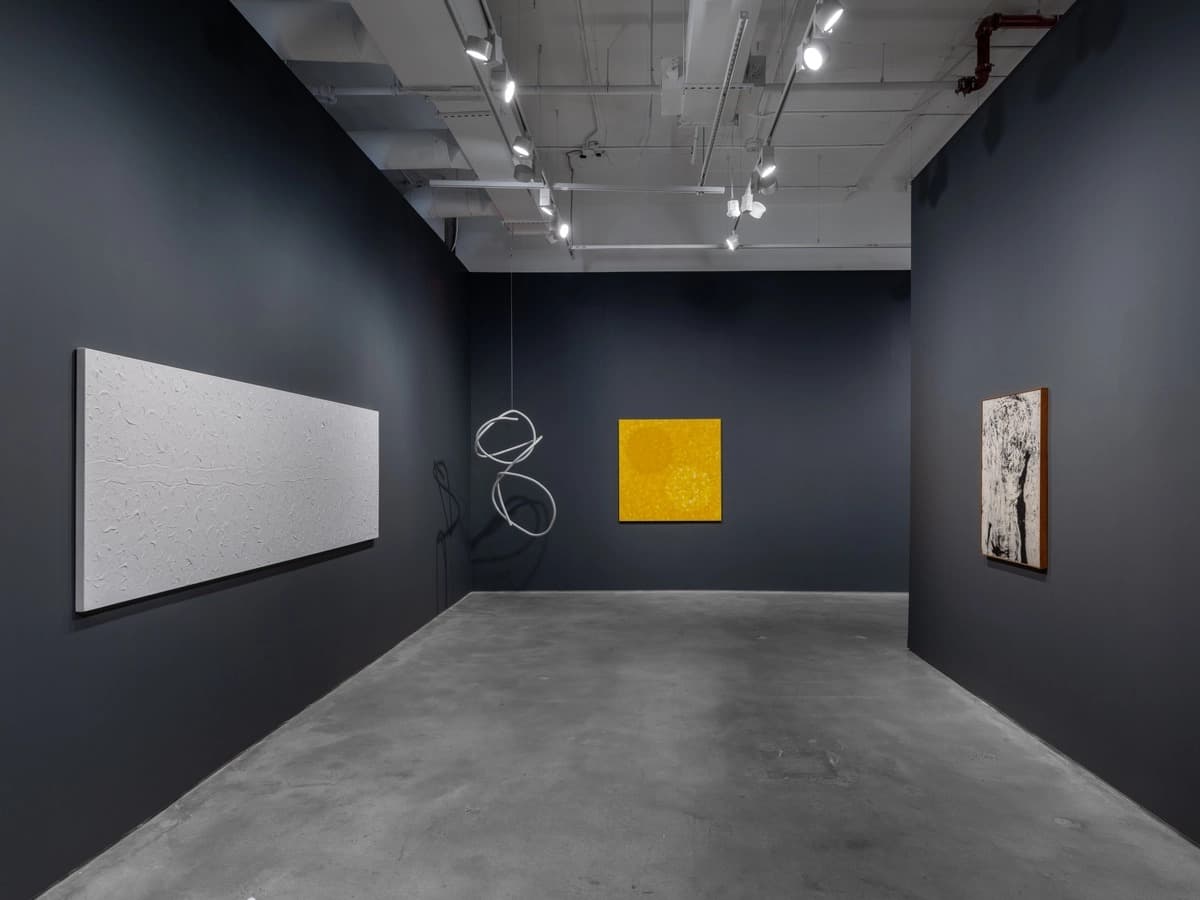 Installation view 4 of 5