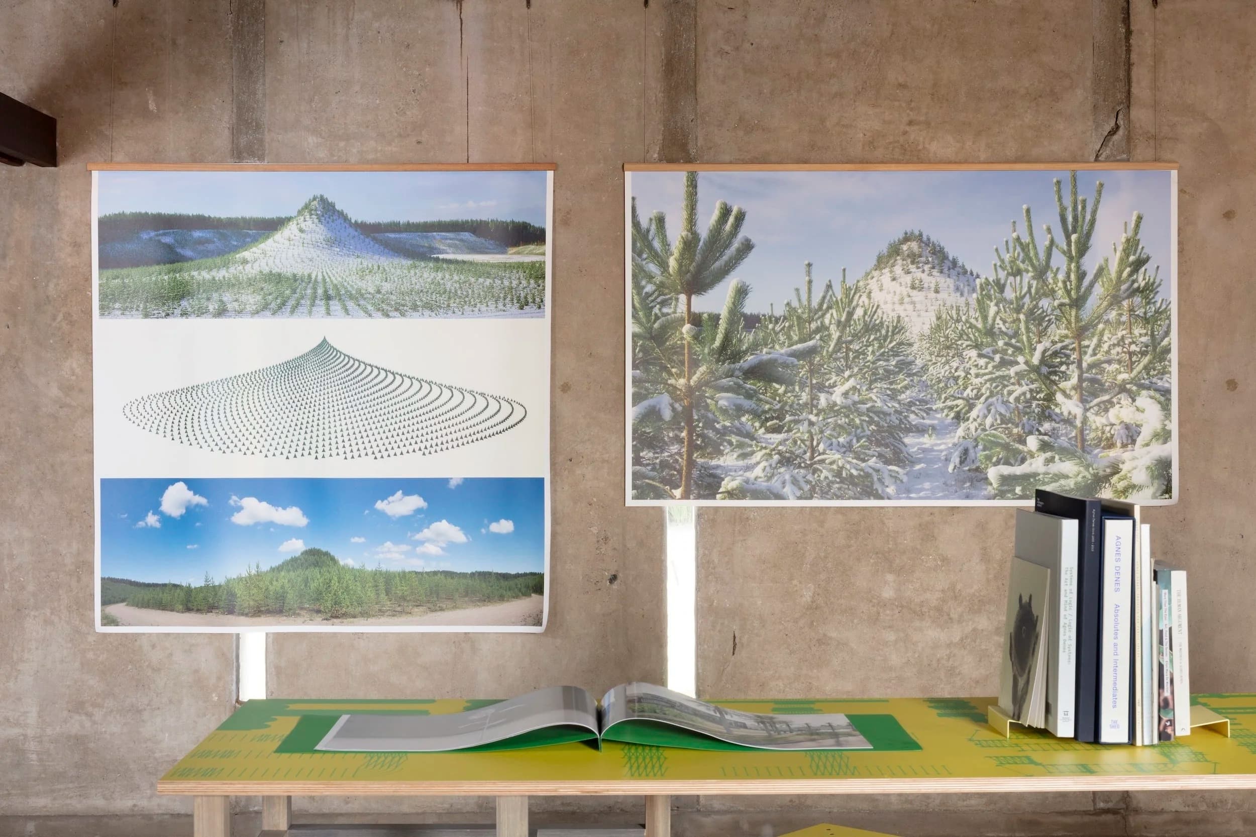 Installation view