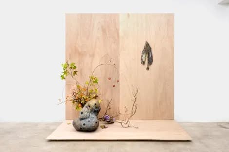 Installation view