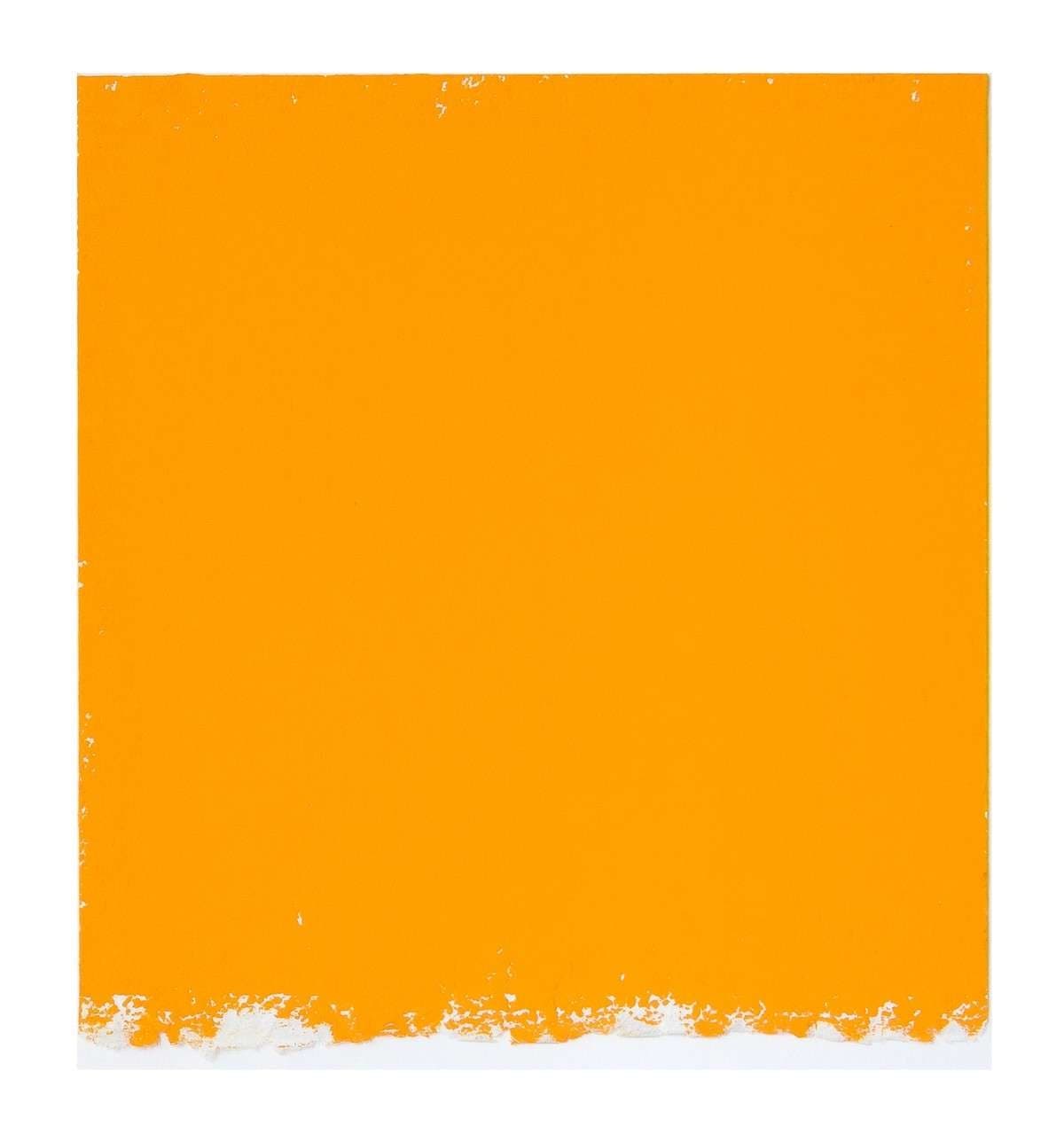 Artist’s Choice