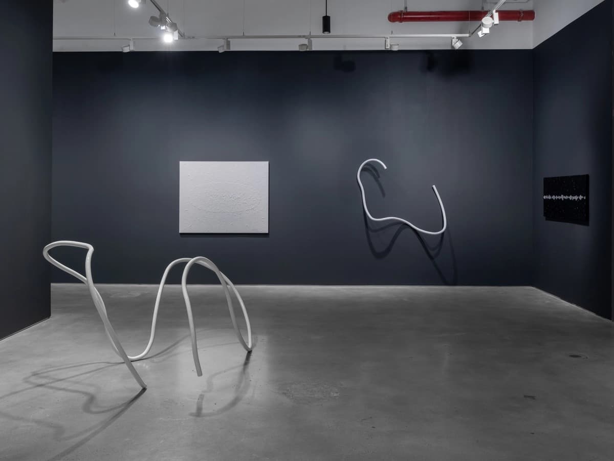 Installation view 5 of 5