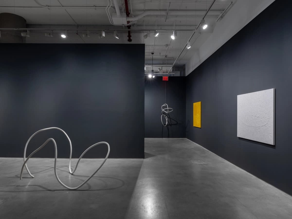 Installation view 3 of 5