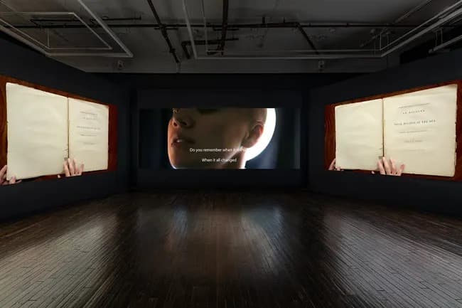 Installation view 5 of 5