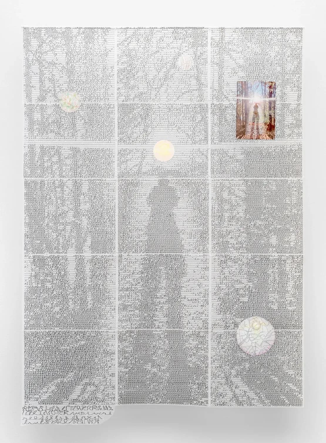 Etiolated Calligrapher