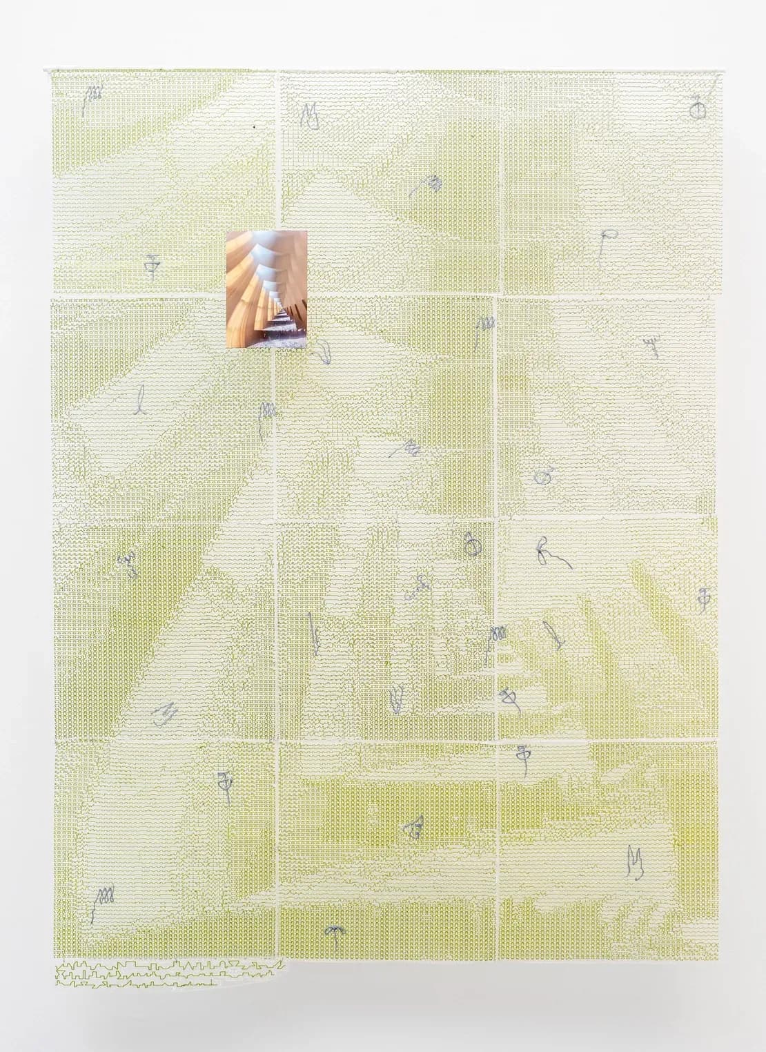 Etiolated Calligrapher