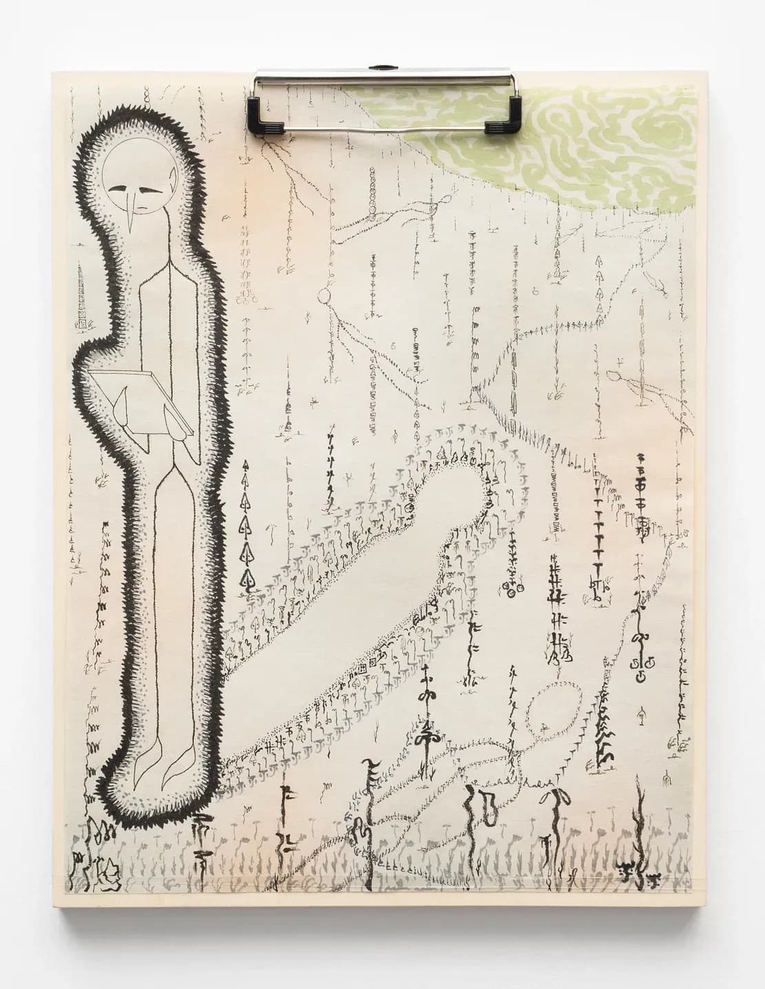 Etiolated Calligrapher