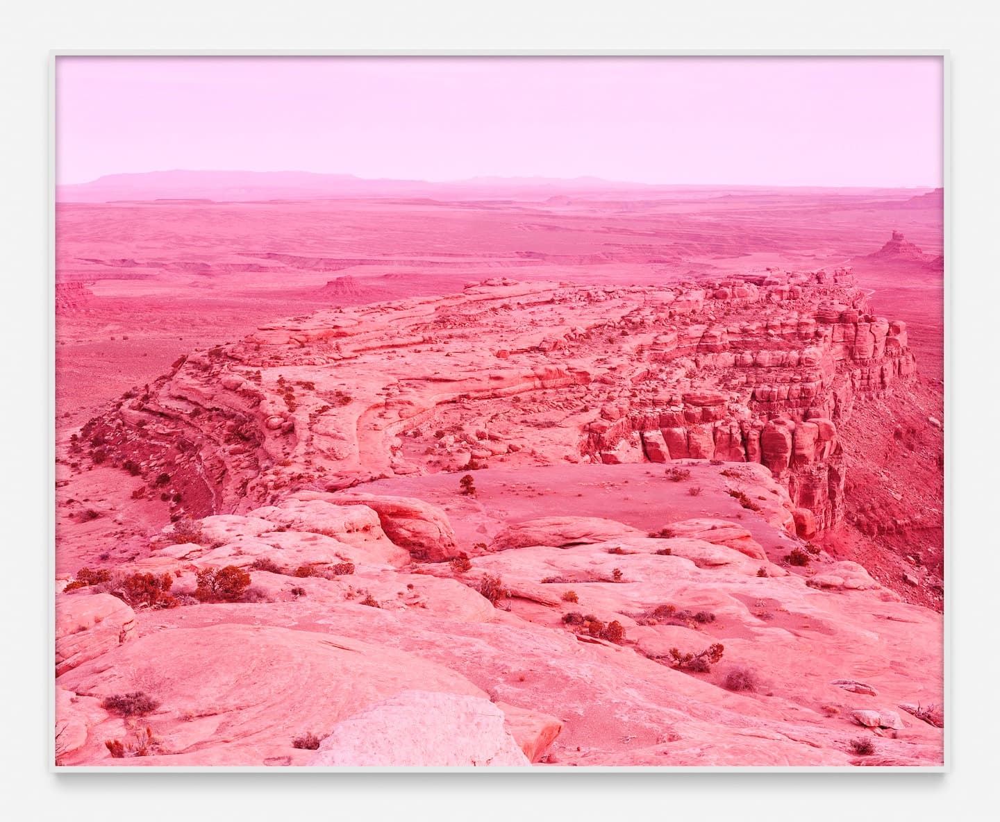 David Benjamin Sherry