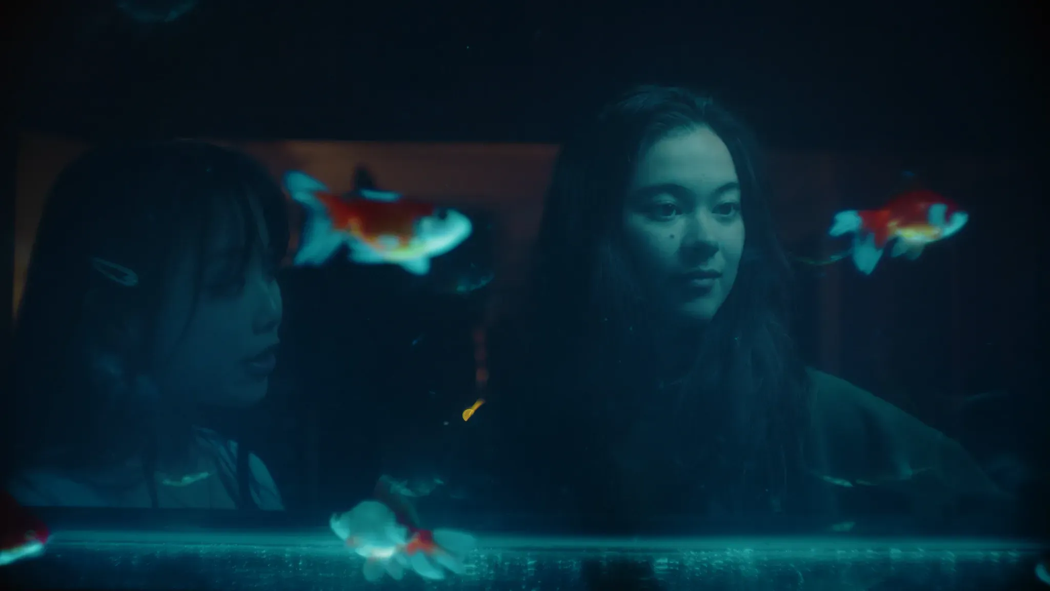 Ward Gallery x The Road to Nowhere: A Lens on Diaspora