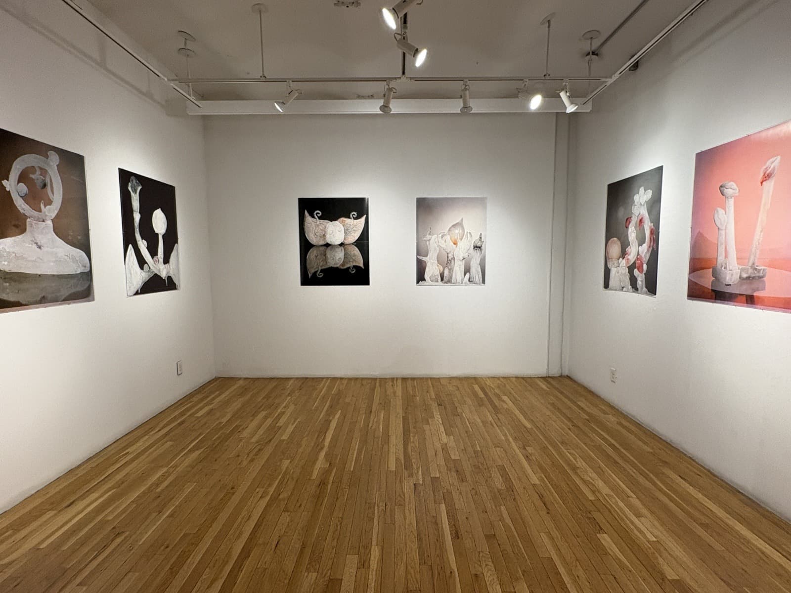Installation view 5 of 5