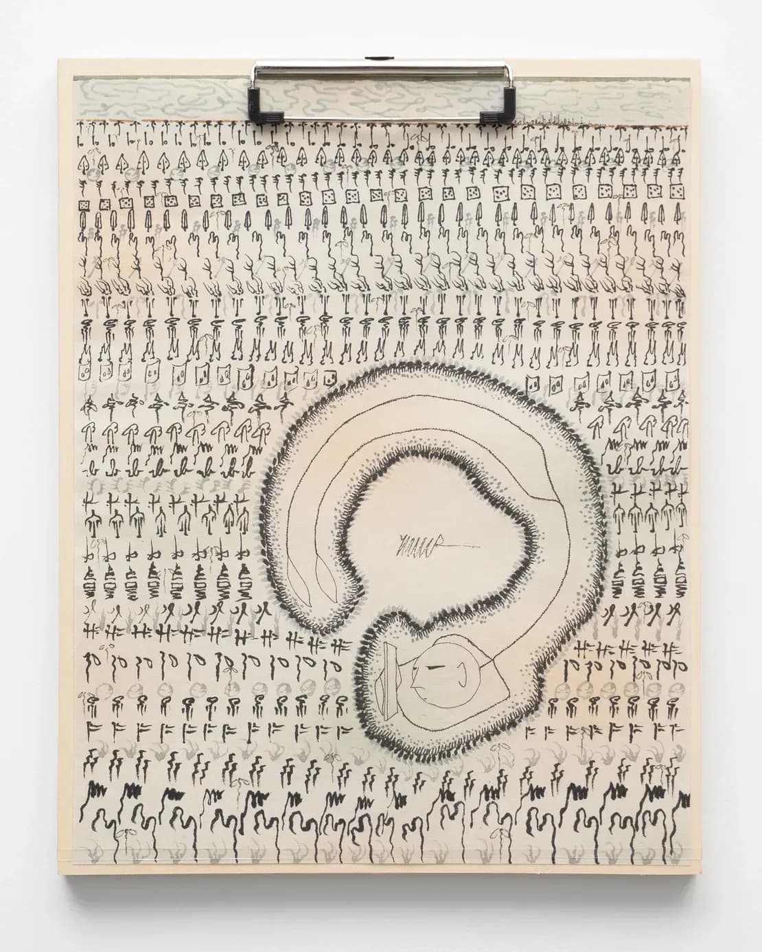 Etiolated Calligrapher