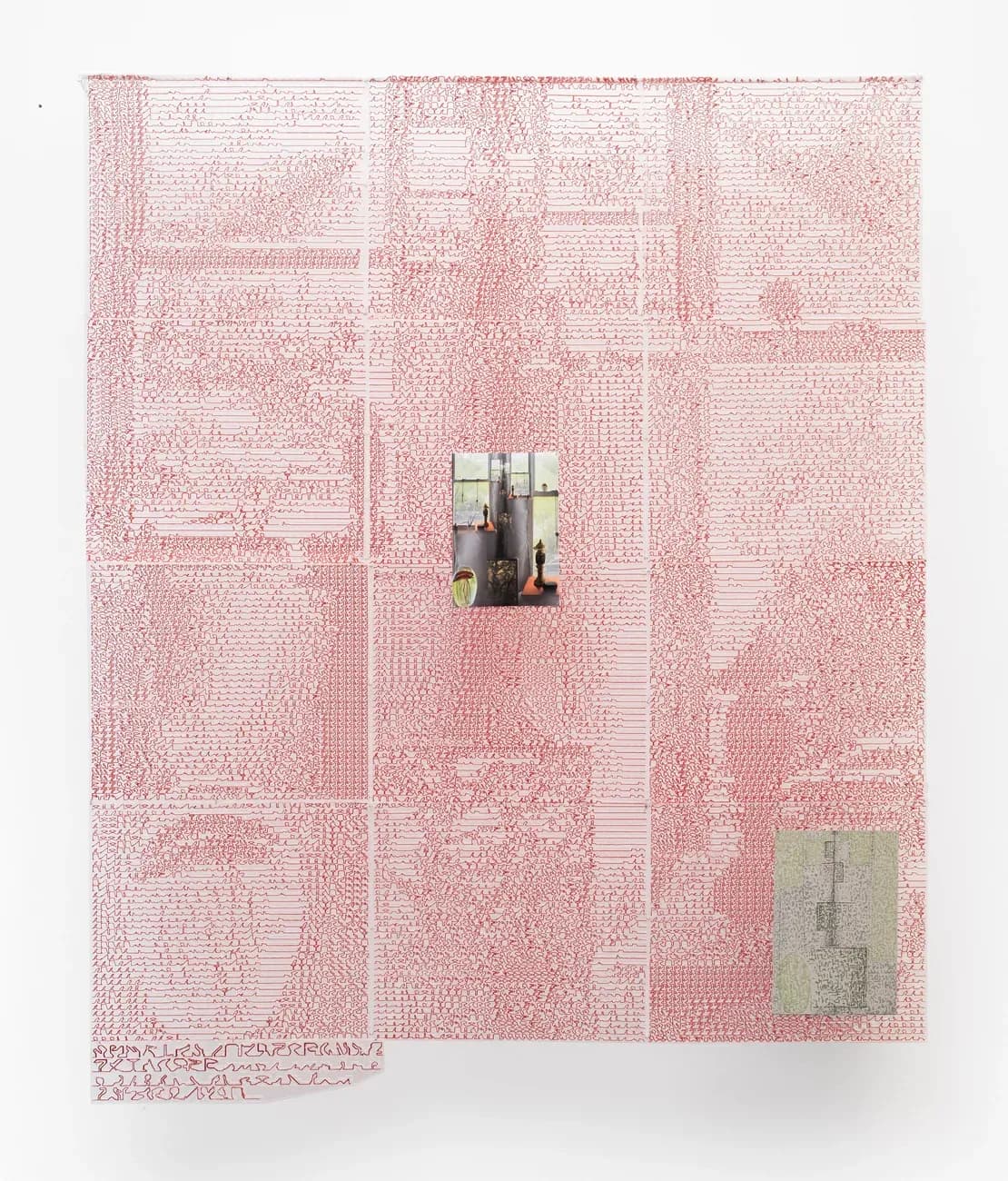 Etiolated Calligrapher