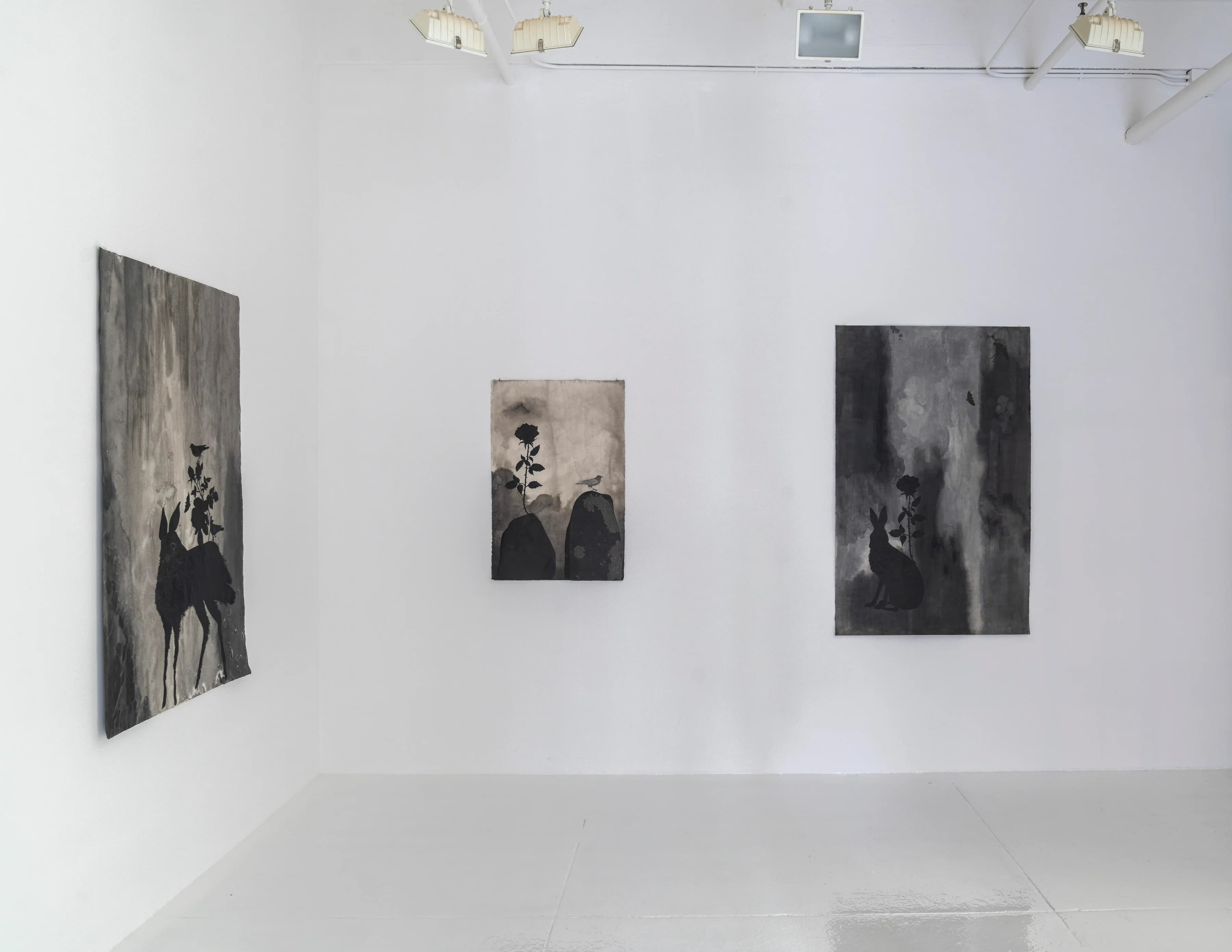 Installation view 9 of 9