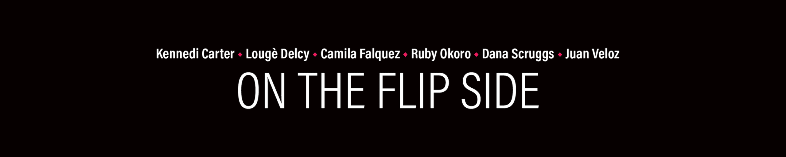 Public Art Fund Talks: On the Flip Side