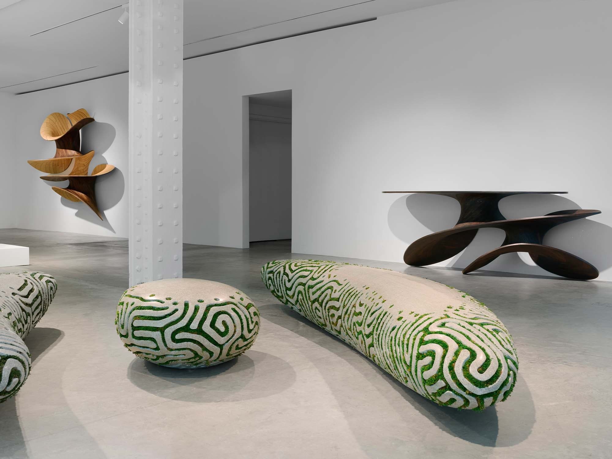 Installation view