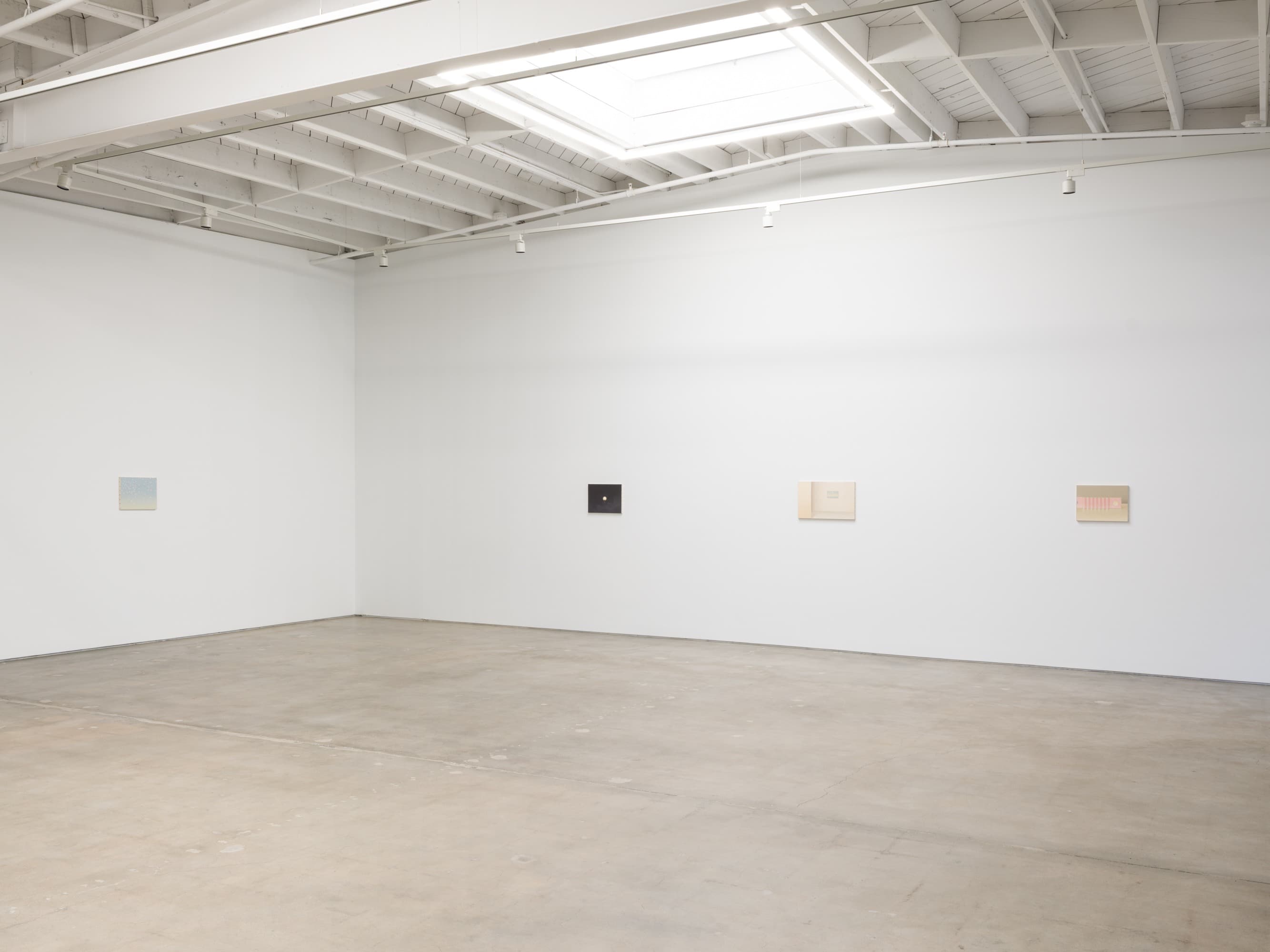Installation view 4 of 5