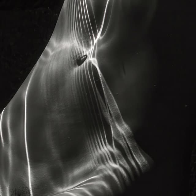 "A Closer Look" California Art League